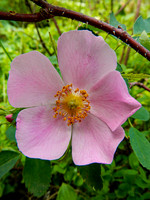 DSCN1475