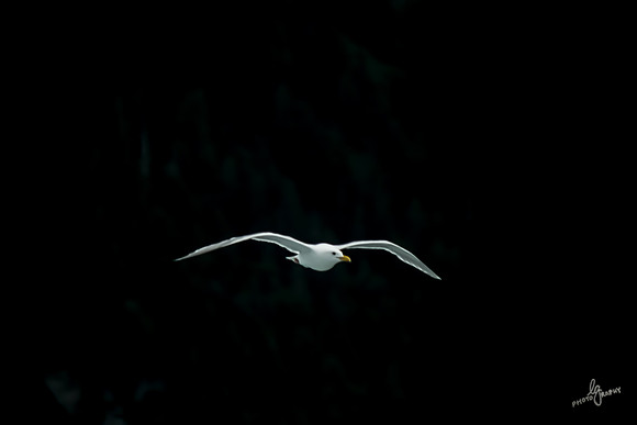 IMG_6687