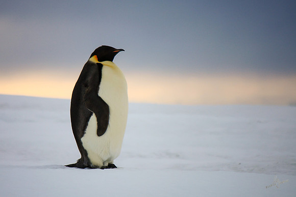 IMG_0301